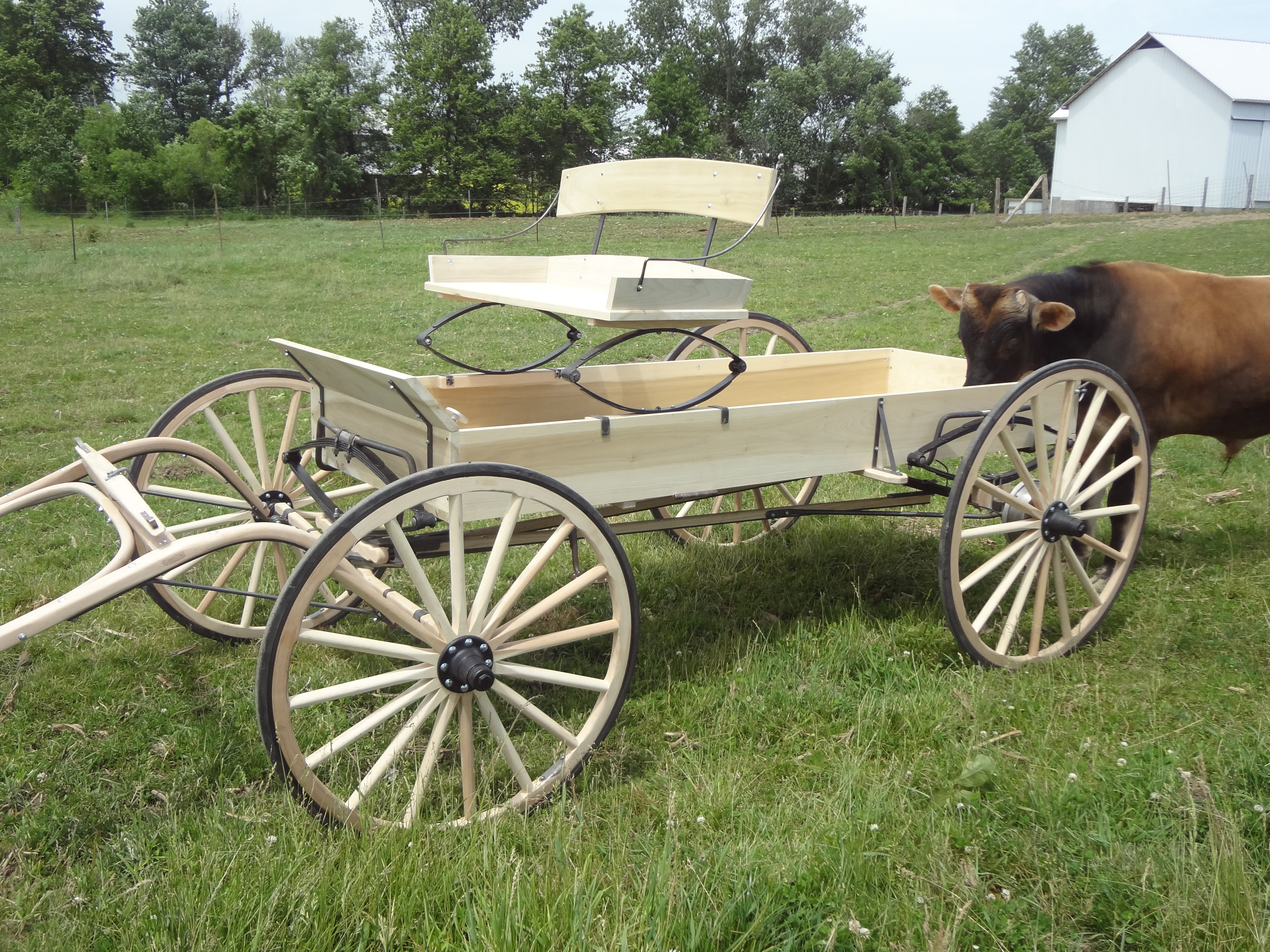 Custom Wagon Wheels Buckboard Wagon-Loaded. - Custom Wagon ...