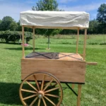 PIONEER CART