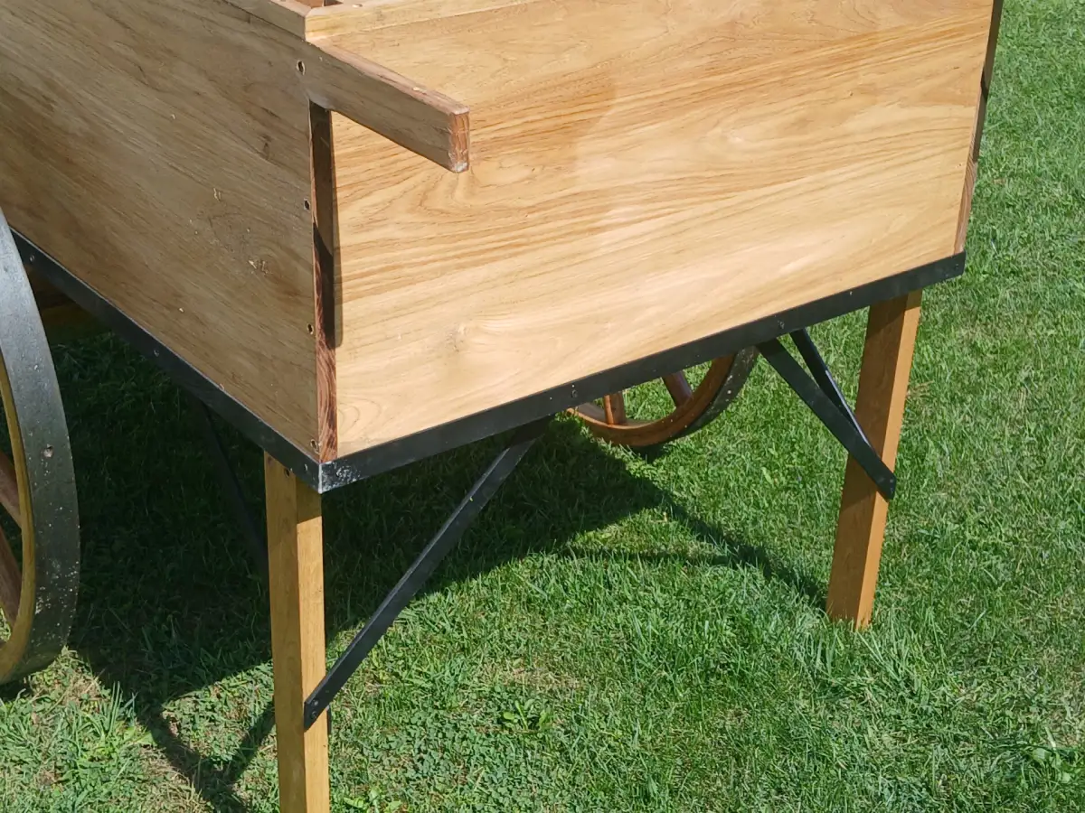 PIONEER CART - Image 3