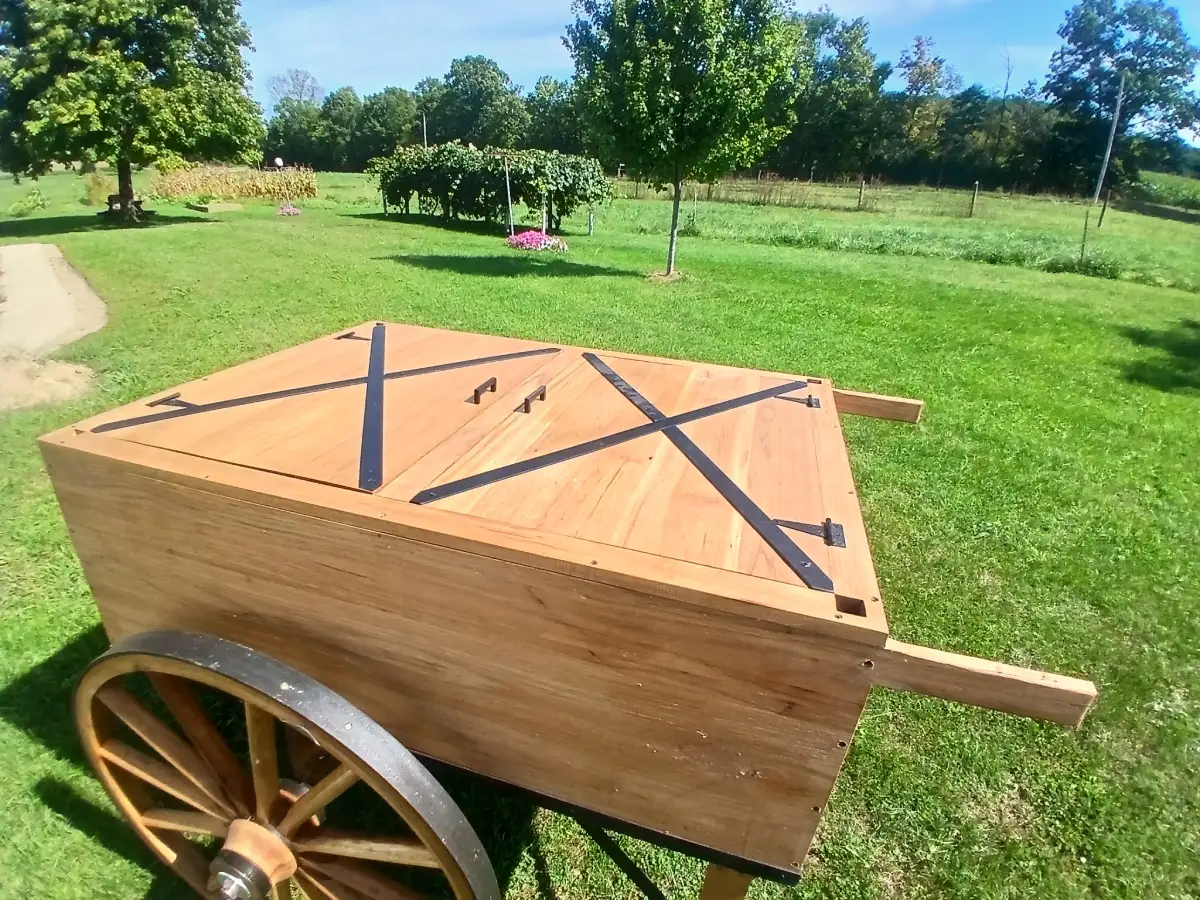 PIONEER CART - Image 5