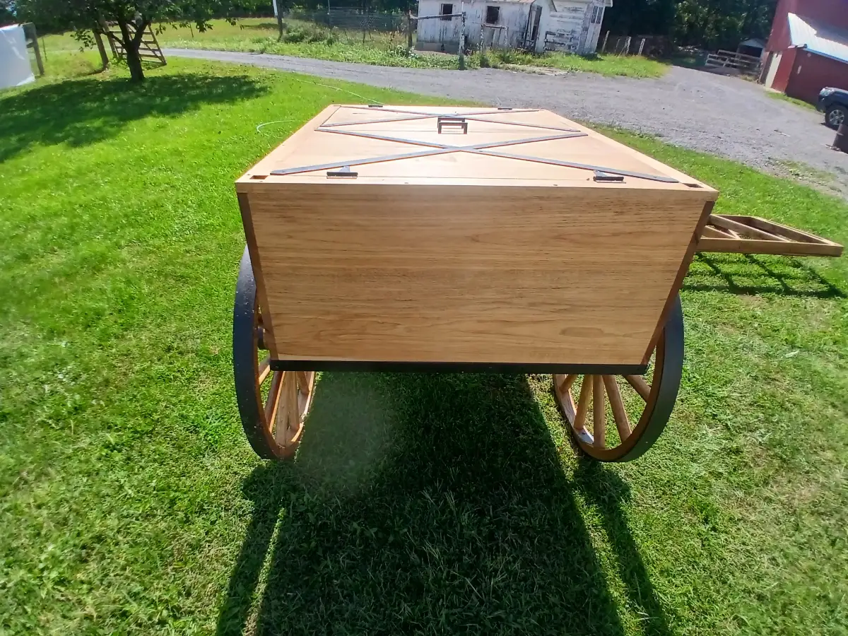 PIONEER CART - Image 8
