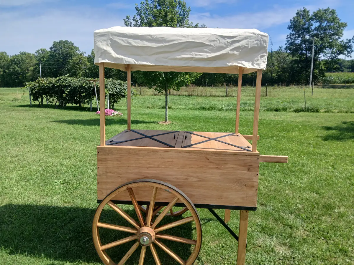 PIONEER CART