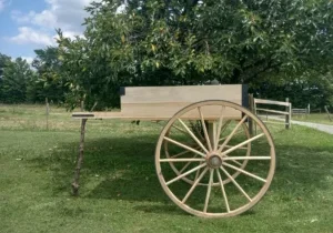 MOUNTAIN CART