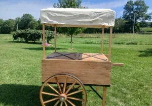 PIONEER CART